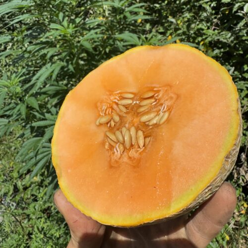 Sweet Passion