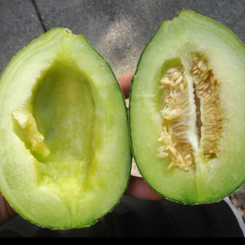 Bateekh Samara